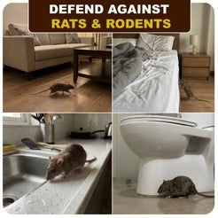 Rat Repellent Spray Buy 1 Get 2 Free